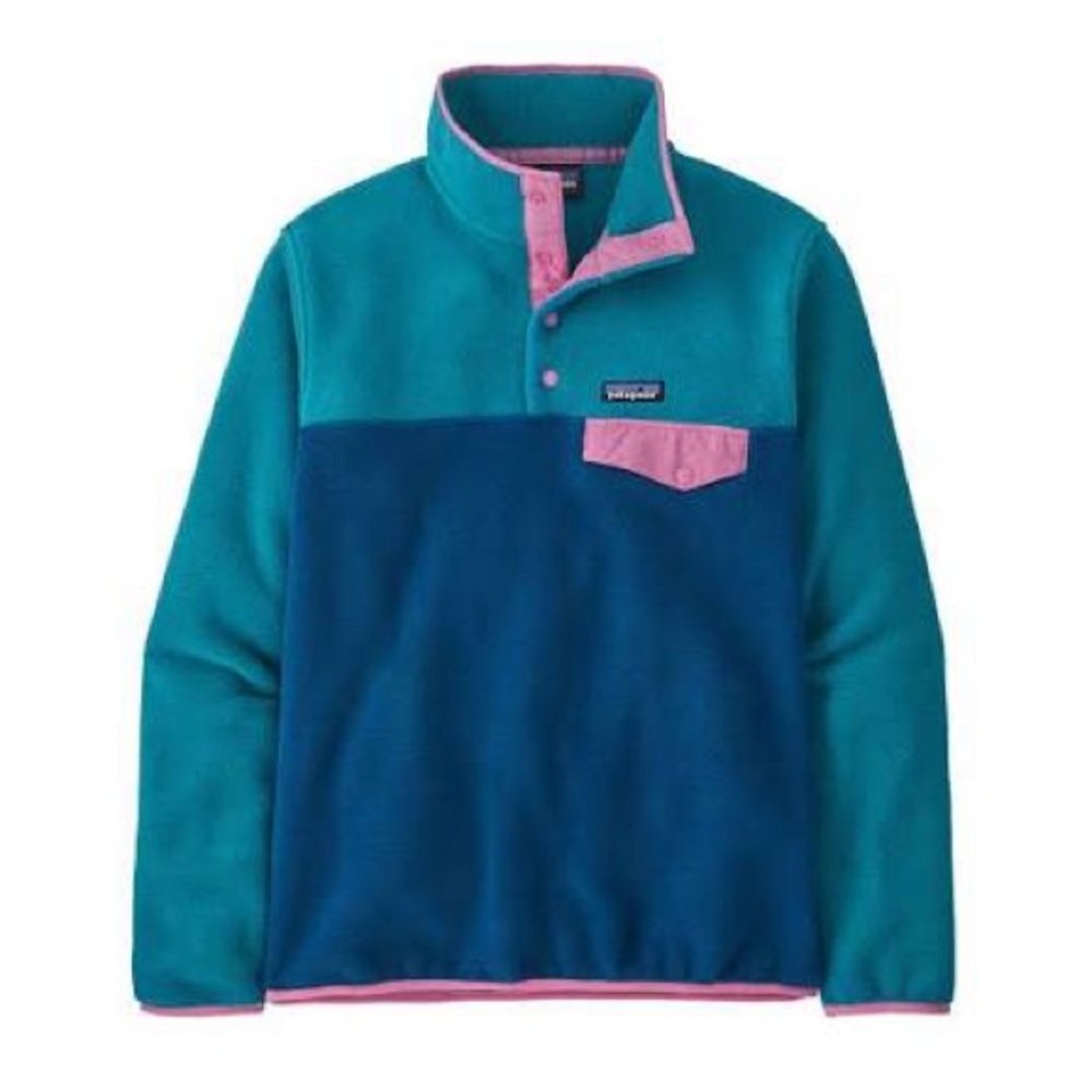 Patagonia Teal and Pink Snap-T Synchilla Fleece Pullover XL